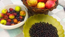 Не заметно пролетело лето, уступив место осени